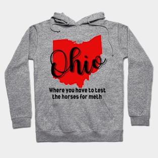 Ohio is for Meth Hoodie